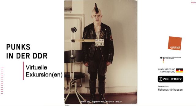 "Virtual excursion(s): Punks in the GDR"